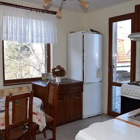 Apartman Vasiliko *
