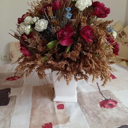 Apartman Vasiliko *