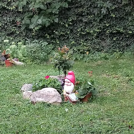 Vasiliko Apartman Carevo