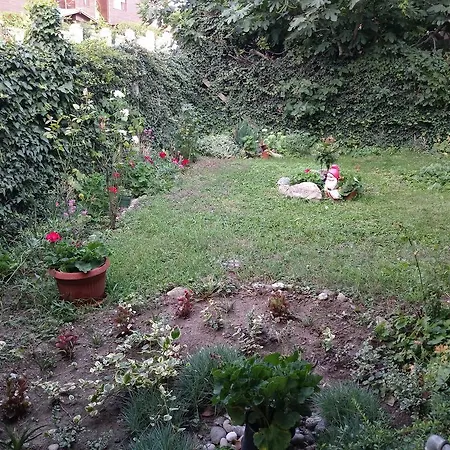 Apartman Vasiliko Carevo