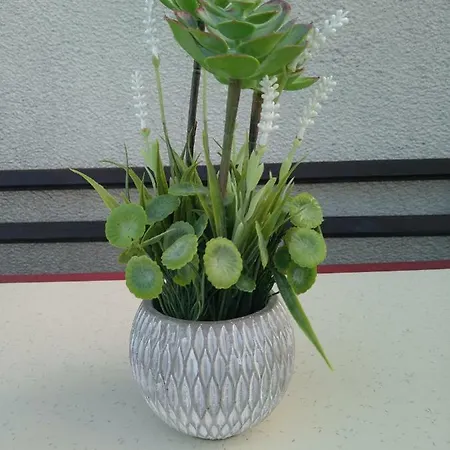 Vasiliko Apartman Carevo