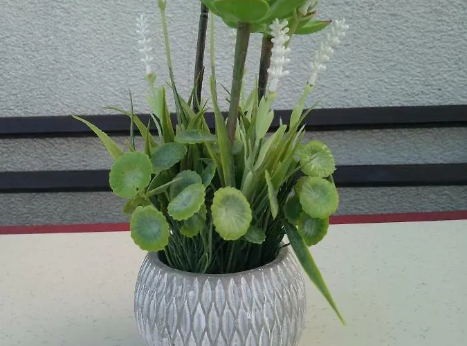 Vasiliko Apartamento Carevo