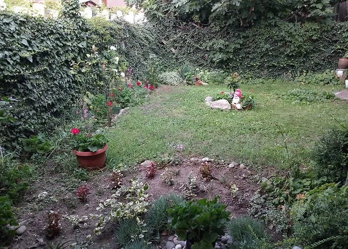 Апартаменты Vasiliko Царёво