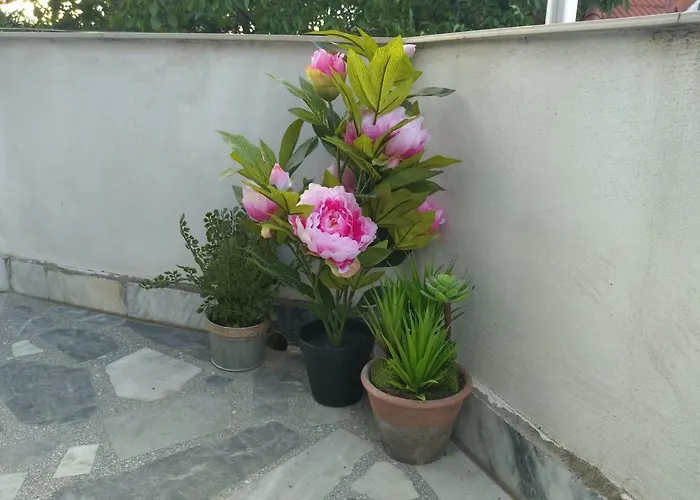 Vasiliko Царёво